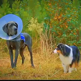 ‎#edit #aura #respect #foruyou #PakistaniDramShar Sameer khan🗽 ‎ ‎#DramaZone #Official #Pakistani  ‎ ‎#ForYou #ViralVideo  ‎ ‎#TikTokPakistan #Official  ‎ ‎#ITS_SAMEER___KHAN #ExposePoint  ‎ ‎#Team7Bro #FYP #RelatableContent  ‎ ‎#DramaticStory #EmotionalScene  ‎ ‎27 ‎ ‎#ViralPakistaniDrama #GrowTogether  ‎ ‎2 ‎ ‎#exposepoint #team7bro  ‎ ‎4 ‎ ‎#foryoupage  ‎ ‎#foryou #account #grow #video  ‎ ‎Share ‎ ‎#viral 