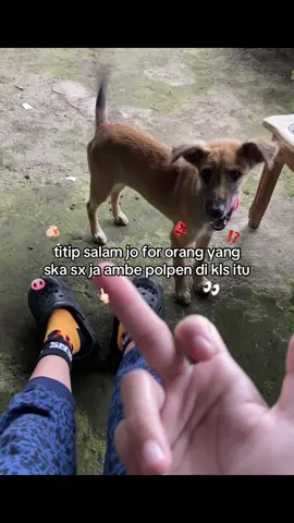 panciri polpen🖕🏻#katakatamanado #rorr_379 