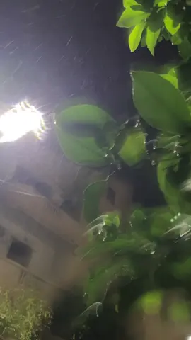 ❤️🇩🇿🌧️⛈️💕🫶💯