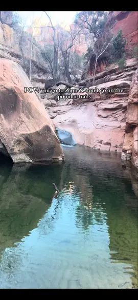 #zion #zionnationalpark #zionnp #Hiking  #pov 