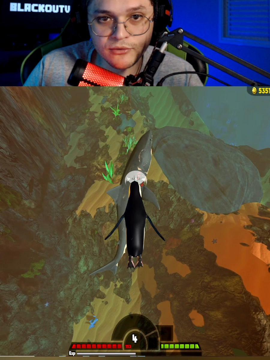 Pinguim gigante #fy #fyp #foryou #viraltiktok #viralvideo 