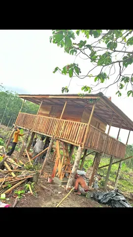 tempat teradem di pondok kayu🌬️🌴#fyp #petaniindonesia🇮🇩🇮🇩🇮🇩🌿🌿 #sawitsumatra 