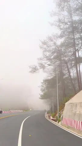 Đà Lạt đường bây giờ đường vắng không anh đường ngoài kia gió lạnh đầu mành hồng Phương mến chúc cả nhà ngày mới năng lượng công việc thuận lợi vui vẻ bình an#dalat #thinnhhanhtiktokh #xuhuongtiktok #hongphuonghoteldalat #dalat 