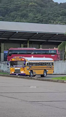 #todotransporte #lomejorenbuses #busesdehonduras  #creatorsearchinsights #farizgarcia📸 