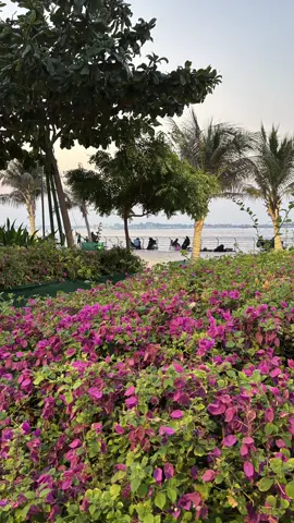 🌅✨#اكسبلورexplore #fyp #ابحر_الشماليه 