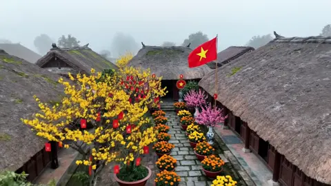 Nôn Tết quá Mọi Người Ơi #tet #tet2026 #tetnguyendan2026🧧🎆🧨 #khongkhitet #viral 