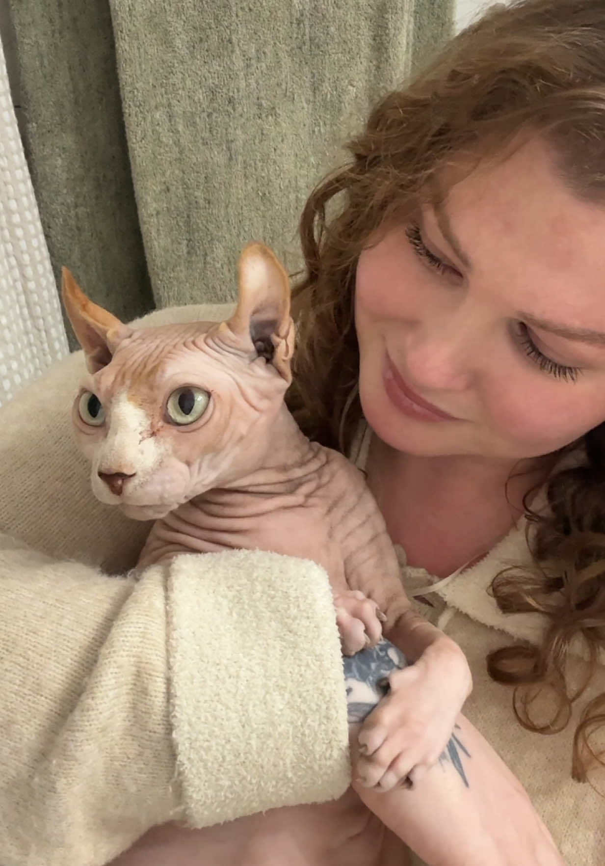🛁🧼 Let’s clean my Sphynx #hairlesscat #sphynx #sphynxcare #elfsphynx #cat