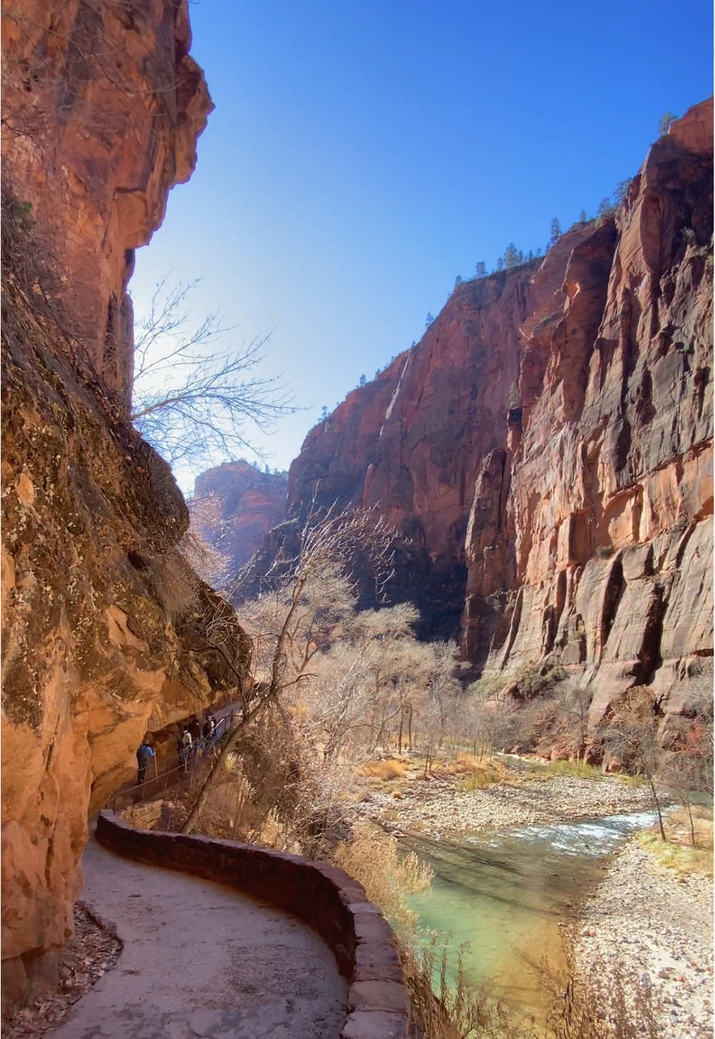 #river #zion #utah #adventure 