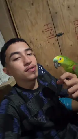 #cearensedograu #ce4rense #videoengraçados #viral 