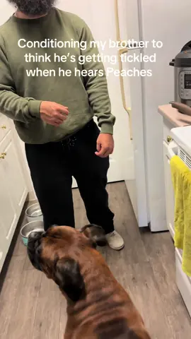 He’s a quick learner #conditioning #peaches #fypシ 