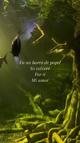 #enanitosverdes #franceslimon #fyp 