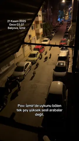 Ne şanslısın ya İzmir’de yaşayarak.. Gecemi bölen 11 kişilik domuz ailesi #domuz #pig #izmir #balçova #korkufilmi 