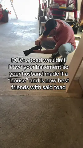 Things have escalated. Let me know if you want an update on my husband being best friends with a toad 🐸  #natureathome #marriedlife #BestFriends 