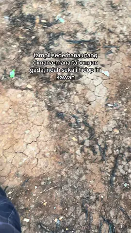 apa gak menyala🔥 #fyp #tandanberduri #drivermuda #sawit 