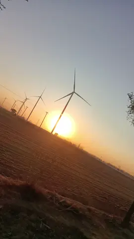 A wonderful day has begun#fyp #foryou #tiktok #good 