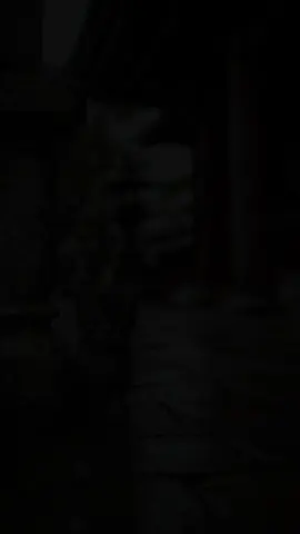 #استغفرالله_العظيم_واتوب_اليه #الحمدلله_دائماً_وابداً💚 