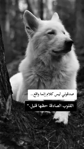 #fyp #F #f #شعب_الصيني_ماله_حل😂😂 #ابوني_ياك_باطل_ولا_حنا_مانستاهلوش 