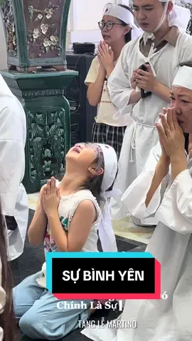 Bình yên mà ai trong chúng ta đều mong muốn!Vậy mà cơn vô thường ập đến không báo trước để lại trong lòng một cảm xúc không thể nào diễn tả thành lời. #martino #tanglemartino #vothuong #vothuongmotkiepnhansinh 