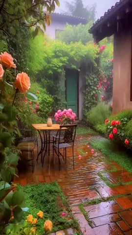 😂😂😎😎✌🏼✌🏼