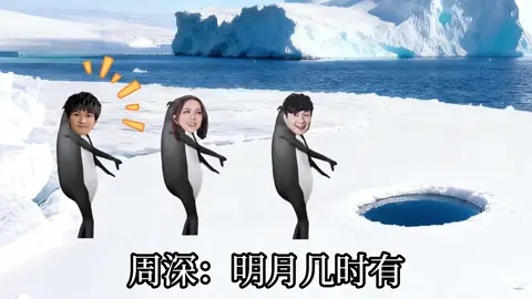 拼好歌高雅人士#周深#鄧紫棋 #林俊杰#李荣浩 #棋土一家GLORIA @GEM鄧紫棋 @吉娃娃 @💜g.e.m.鄧紫棋💜（~Ω~） 