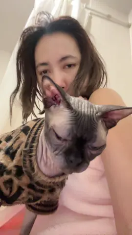 แมวบ้านใครอ้อนแบบนี้บ้างคะ ทุกครั้งที่นั่งในห้องน้ำต้องกระโดดขึ้นตักมาอยู่เป็นเพื่อนตลอด น่ารักมากกก #fyp #พี่เฟิสหัวหน้าแม่บ้าน #lovelyfirstขวัญใจคนจน #lovelyfirst 