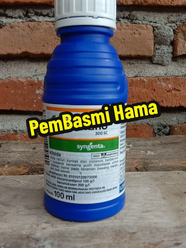 Rahasia tanaman bebas wereng, ulat grayak, penggerak batang dll #virtako #basmihama #basmihamapetani #hamabawangmerah #insektisida 