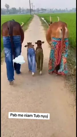 Hlub​ tshaj​#VoiceEffects #เทรนด์วันนี้ #CapCut 