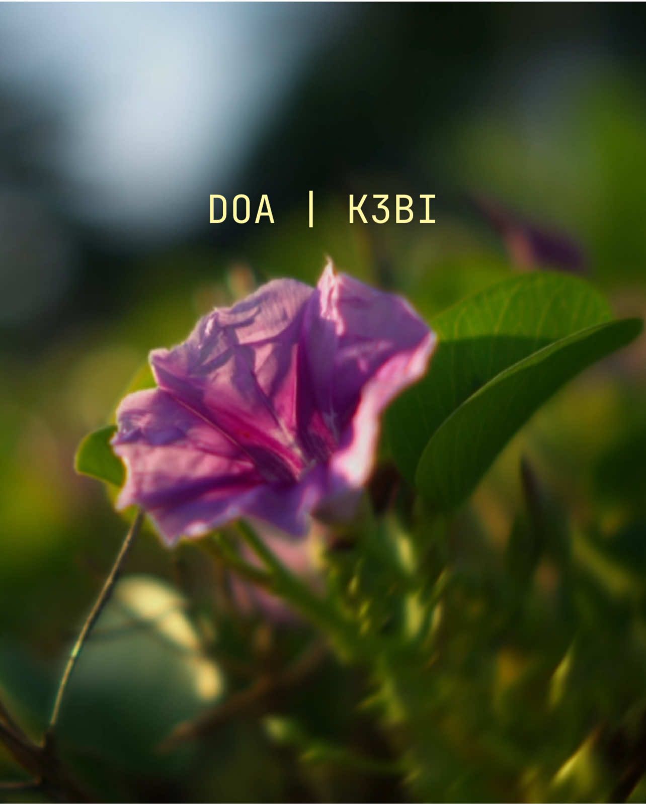Doa by K3BI, Versi Timor  #timorleste🇹🇱 #fyp #retro_vision_production #videography #cinematic 