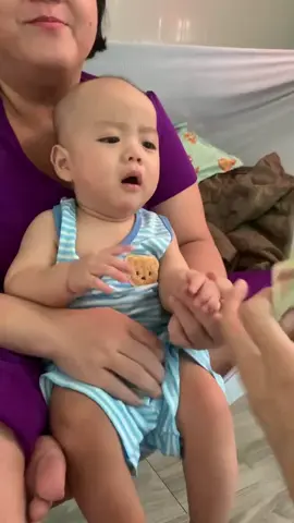 Mới 6 tháng hơn đã phải huấn luyện giúp ba mẹ tăng thu nhập mùa Tết @Hoàng Chí 