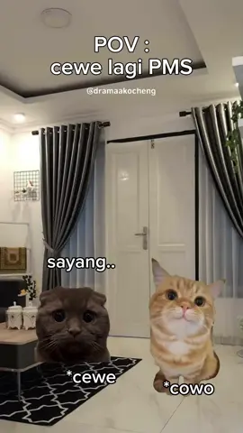 ngeselin bngt #meme #memekucing #kucinglucu #povlucu #fyp 