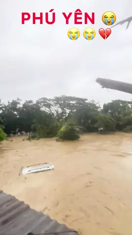 Nguyện Cầu Nước Mau Rút 🥹 #tintuc #lũlụt #news #vietnam #phuyen #adidaphat .