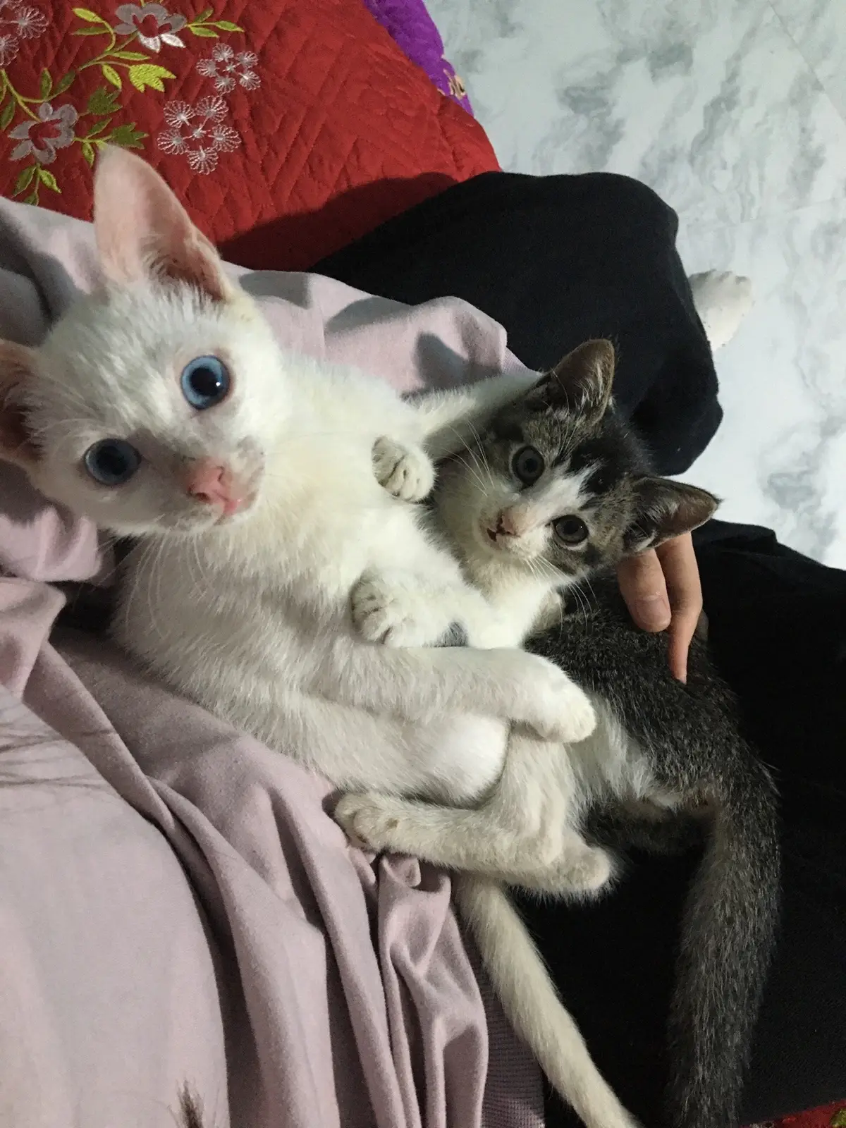 mỗi khúc này là thấy iu thưn nhau😛