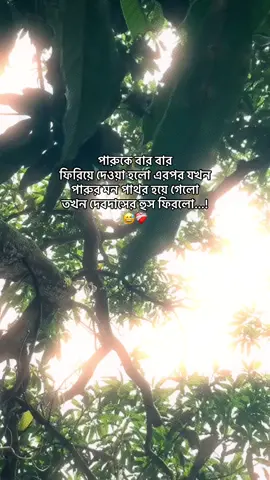 ❤️‍🩹🕊️#_isratu_ #trending #foryou #foryoupage #uponnash 