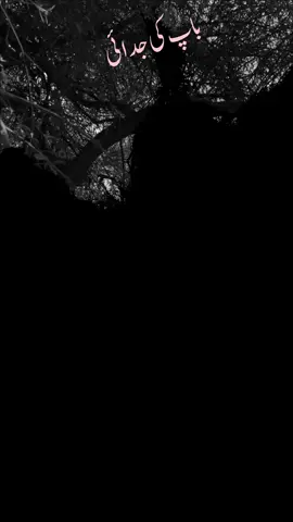 #😭✨🙏🤲🏼🙏✨😭 #باپ کی جدائی #foryoupagevideoviraltiktok #unfreezemyacount #foryou 