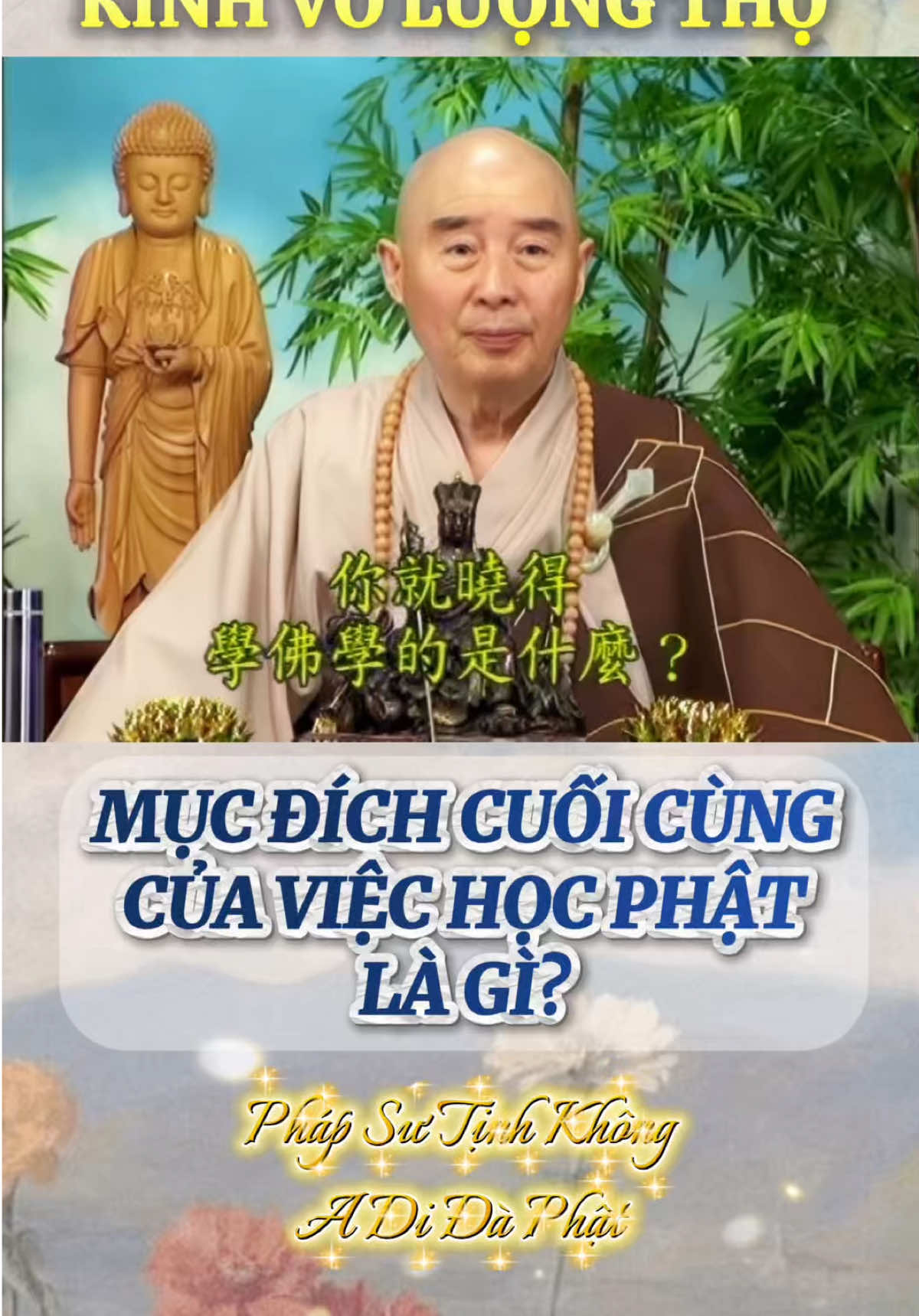 Học Phật Là Học Cái Gì? Pháp Sư Tịnh Không  Trích Kinh Vô Lượng Thọ  Nam Mô A Di Đà Phật  #CapCut #xuhuong #phapsutinhkhong #hoathuongtinhkhong #nammoadidaphat 
