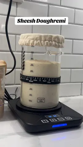 @King Arthur Baking I love Mother already 😮‍💨🙌🏽🍞 #sourdough #sourdoughbread #sourdoughstarter 