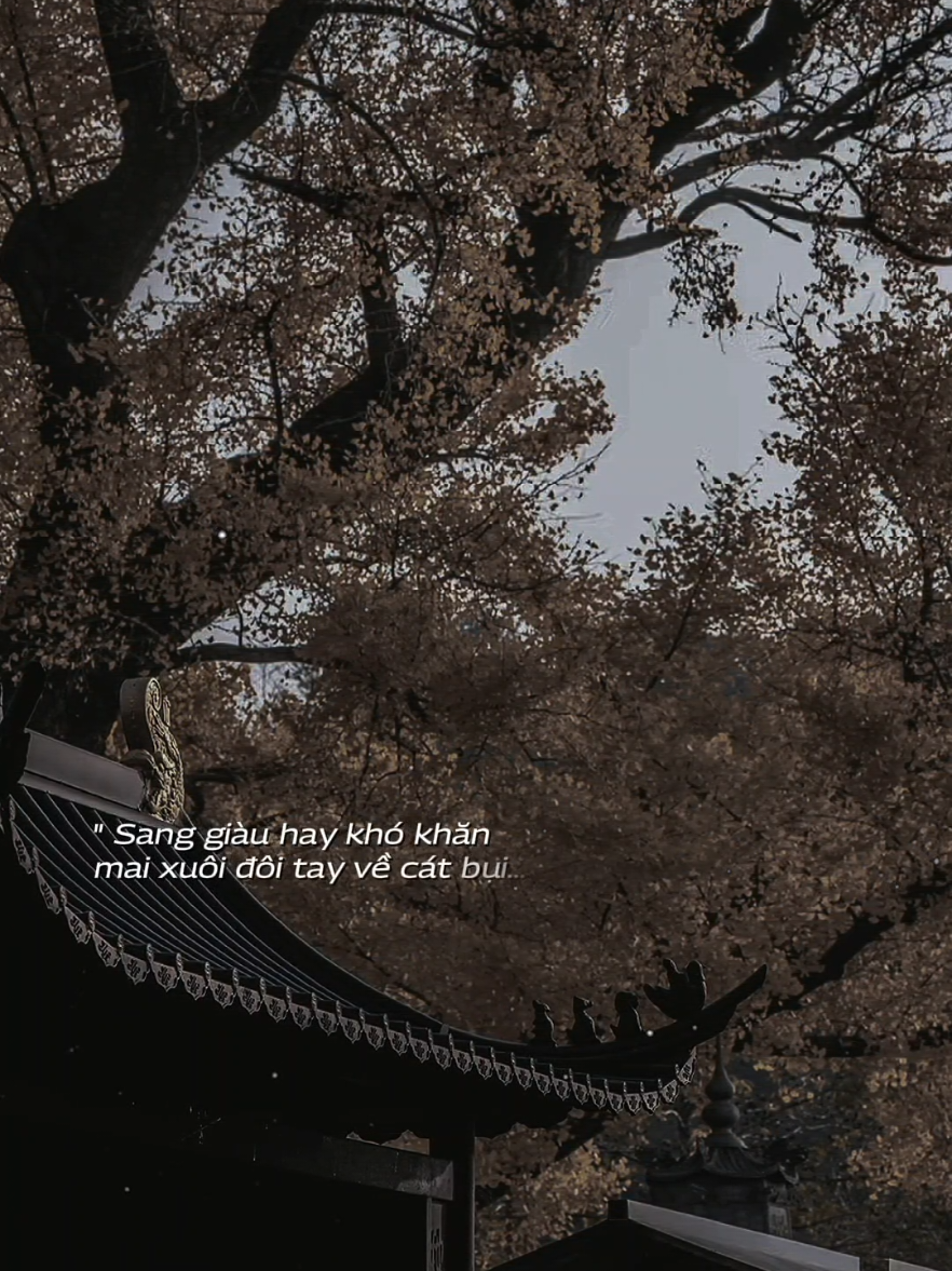 Kiếp phong ba trần gian #trambuon12 #nghelasuy12 