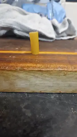 Pasta-Lavista  #Pasta #Spaghetti #riggatoni