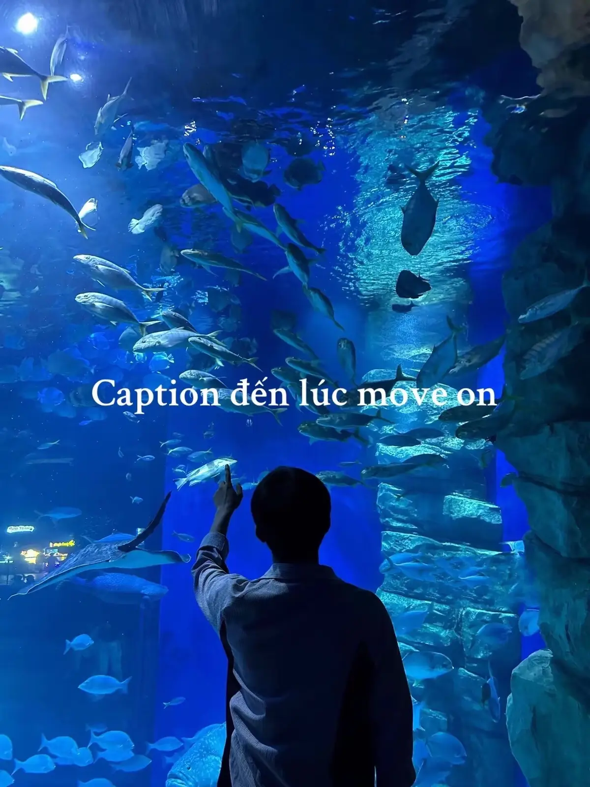 #xhhhhhhhhhhhhhhhhhhhhhhh #tamtrang #captiontamtrang 