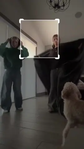 can’t keep a gangsta down #fypシ #foryoupage #PhotoCropChallenge #photocropfilter 