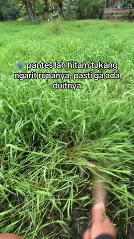 Hadeuhh#masukberandafyp #fypforyou #sobatngaritnusantara #semangatberjuang #tukangngarit #sobatngaret #bosmuda😎😎😎 #peternakmuda 