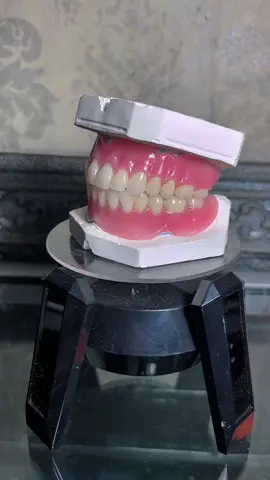 Tidak ada opini😮‍💨 #gigipalsubandung #bandung #gigipalsuberkualitas #gigipalsu #tukanggigi 