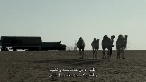 #اكسبلورexplore #الشعب_الصيني_ماله_حل😂😂 #شعر #قصايد #fypシ゚ 