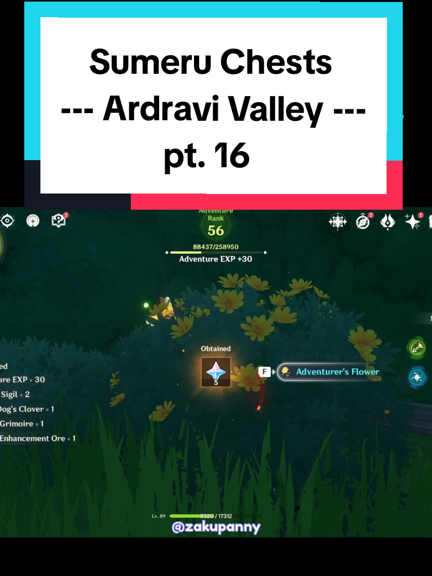 🍀 #GenshinImpact #sumeru #chest #guide #gaming