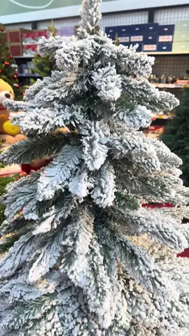 cây thông noel phủ tuyết, có tặng kèm phụ kiện trang trí#caythong #caythongnoel #caythonggiangsinh #trangtrinoel #noel  @Hồng Nguyễn  @Hồng Nguyễn  @Hồng Nguyễn 