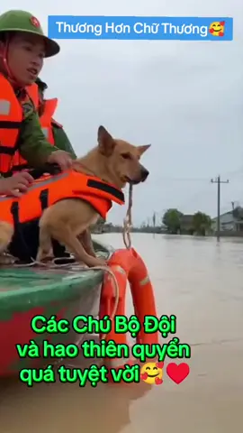 CẦU MONG TẤT CẢ NGƯỜI DÂN ĐANG Ở VÙNG LŨ ĐƯỢC BÌNH AN KHỎE MẠNH.CẦU MONG LŨ SỚM QUA MAU 🙏#xuhuongtiktok #xuhuong 