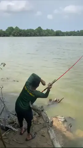 cinta si mj #siakap  #fypage #fyppppppppppppppppppppppp #fyp 