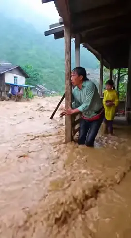 Làm ăn tích góp cả đời chỉ một cơn bão đi qua cướp đi tất cả #lulut #bao #thientai #viral #xuhuongtiktok 