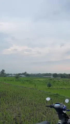 🤩  #lewatberandamu #supramodifikasi #supraw9style #cseriesjahat #fypdongggggggg 