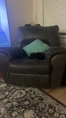 #foryoupage❤️❤️❤️ #fypages #LIVEIncentiveProgram #fypagetiktokviralvideo #PaidPartnership }